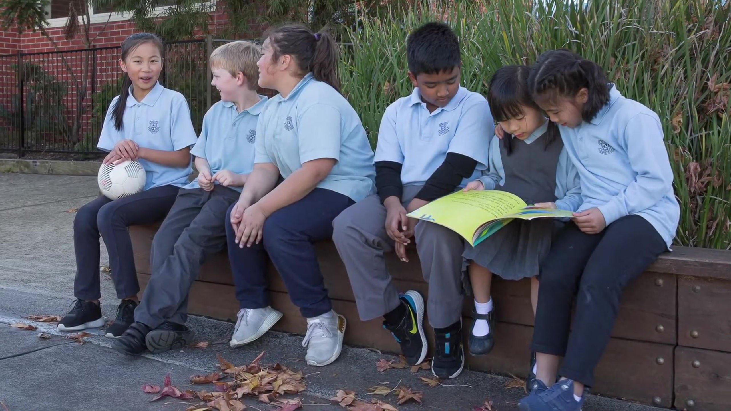 About our school St Joseph's Primary School Springvale